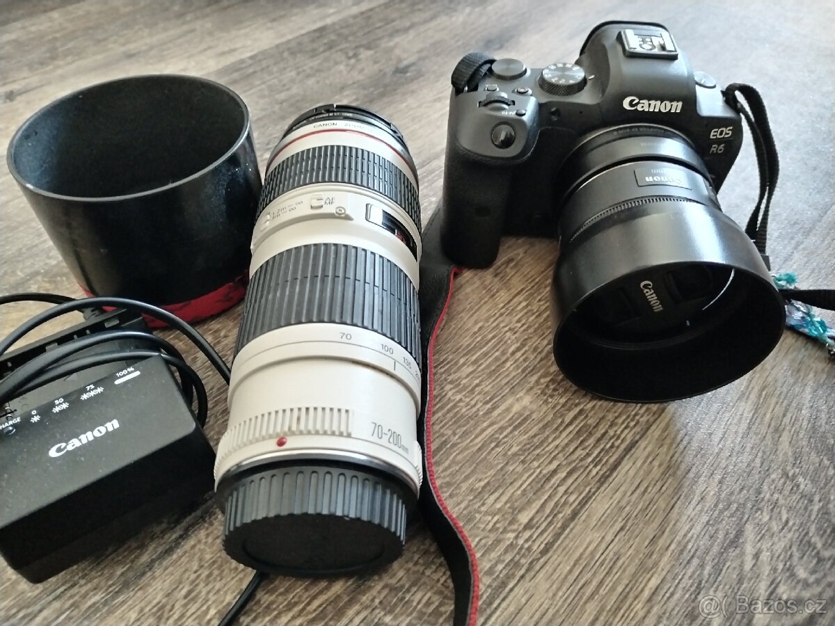 Canon R6