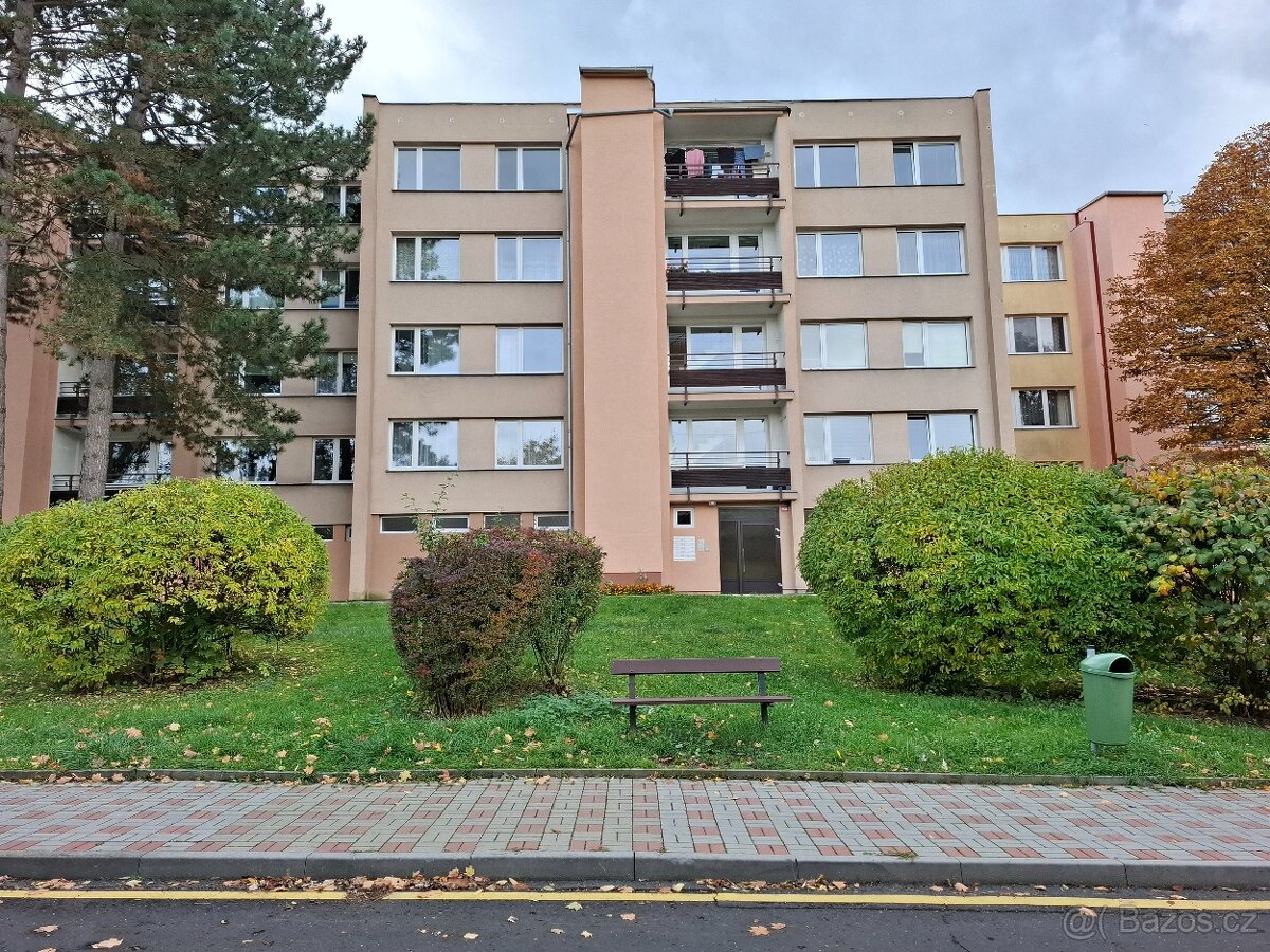 Teplice, pronájem byt 3+1, 69m2, Slovenská ul. (Bílá  cesta)