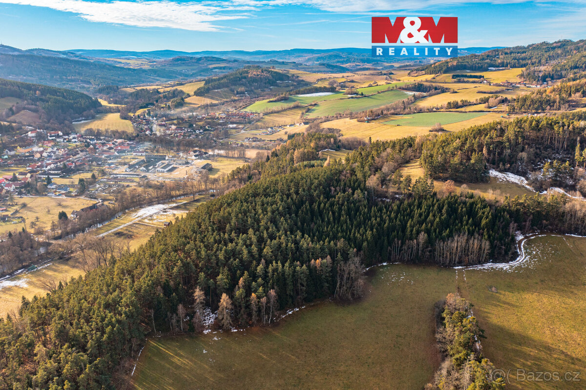 Prodej lesa, 51224 m², Malenice