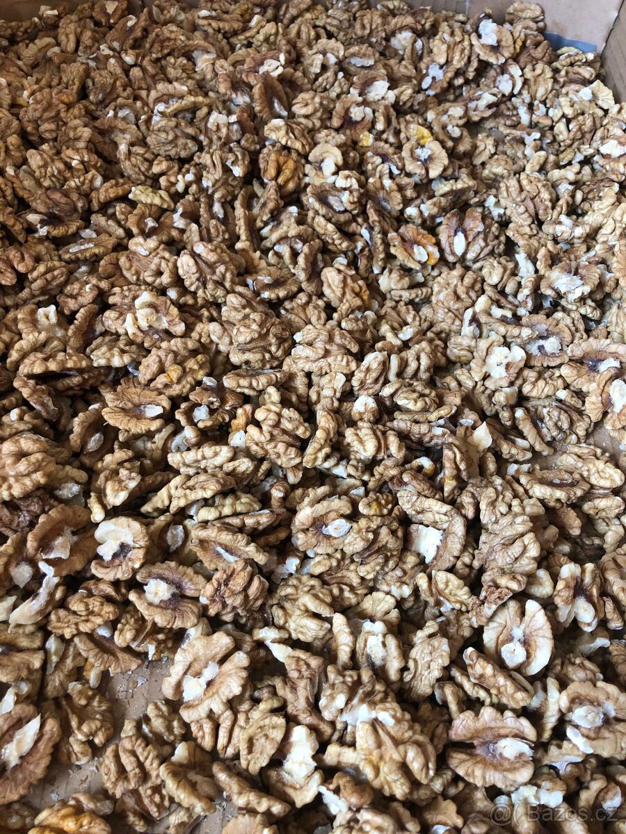 Letošní vlašské ořechy