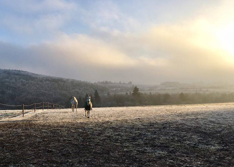 Ustájení v Mníšku pod Brdy