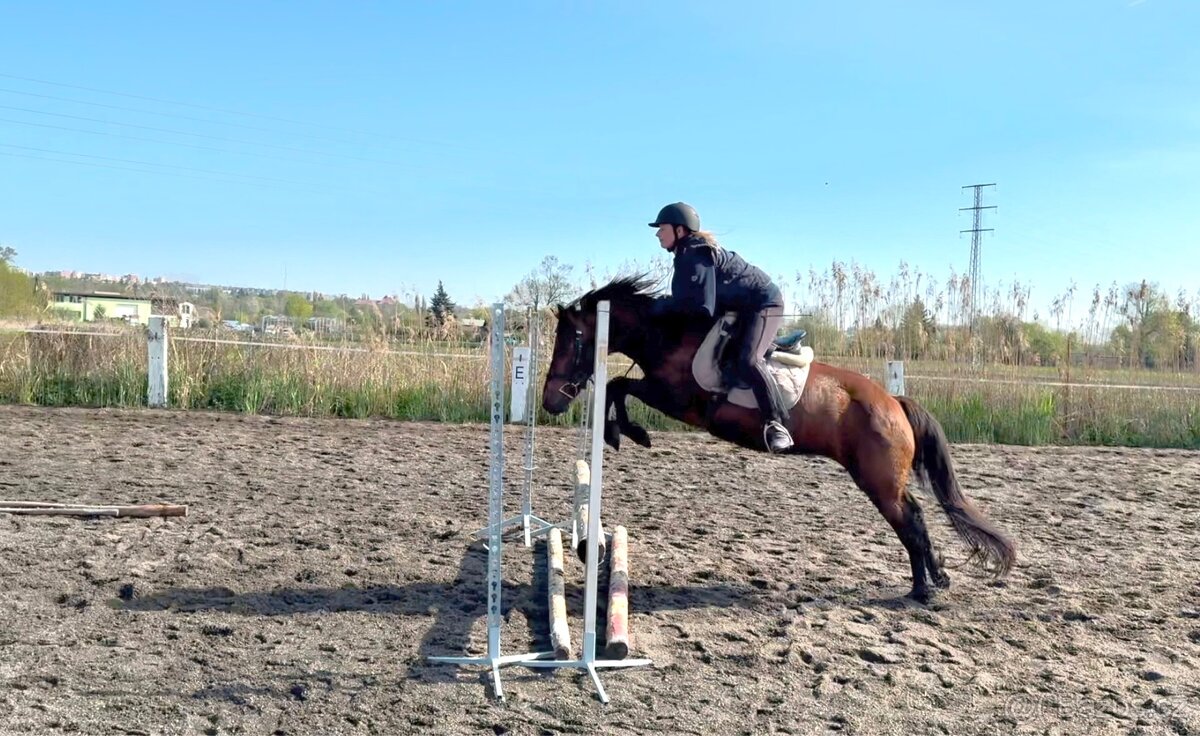 Pony klisna