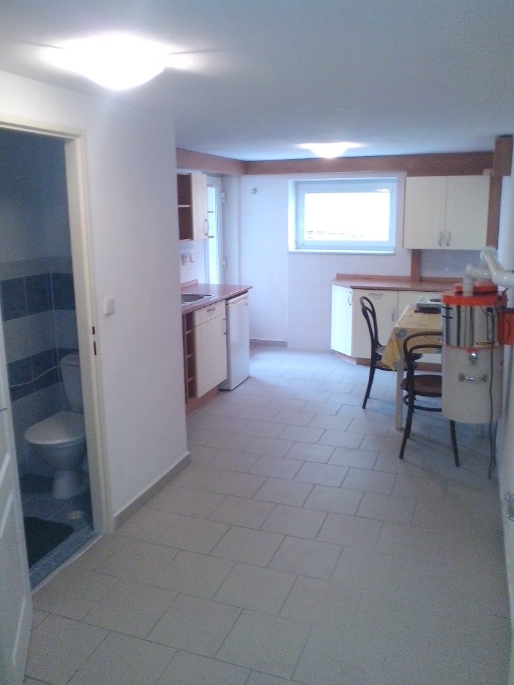 Pronájem bytu 1+1, 46 m2, Brno- Žilkova