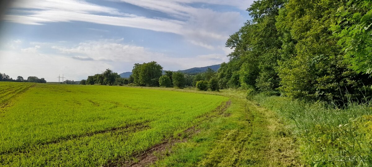 Zahrádka 450 m² – Zahrádky U Jabloní, Železnice u Jičína – v