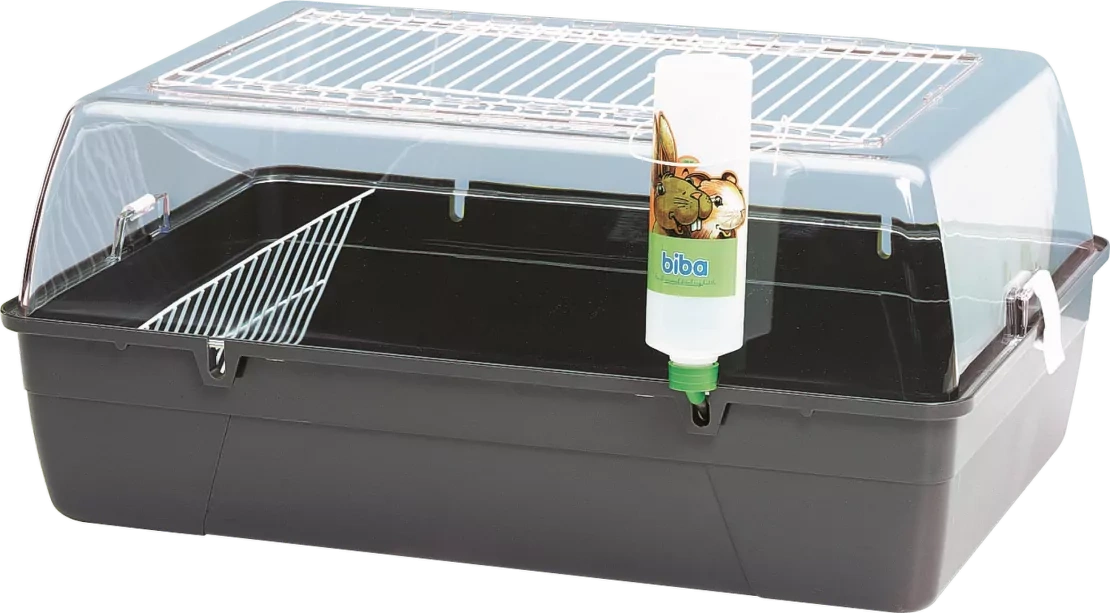 Box Savic Rodi Cavia