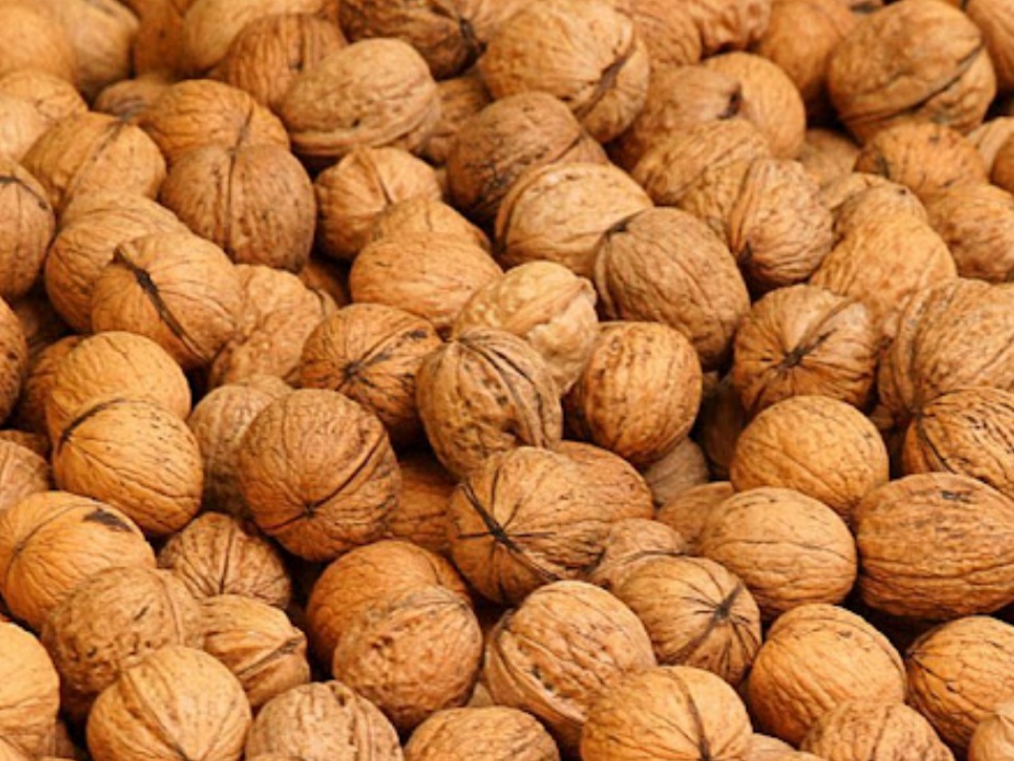 Prodám neloupané vlašské ořechy