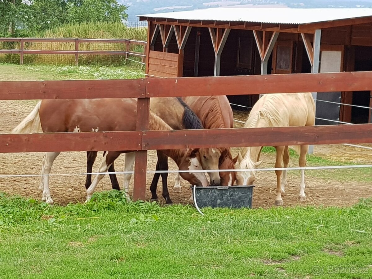 Pracovník v zemědělství/stájník/ošetřovatel/traktorista
