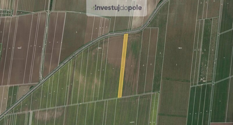 Prodej pole v k.ú. Strachotín