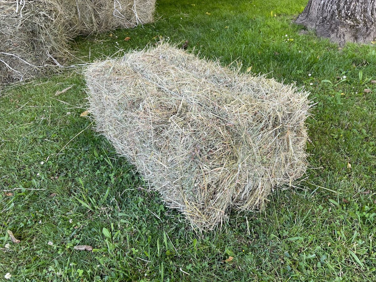 Ručně sušené seno