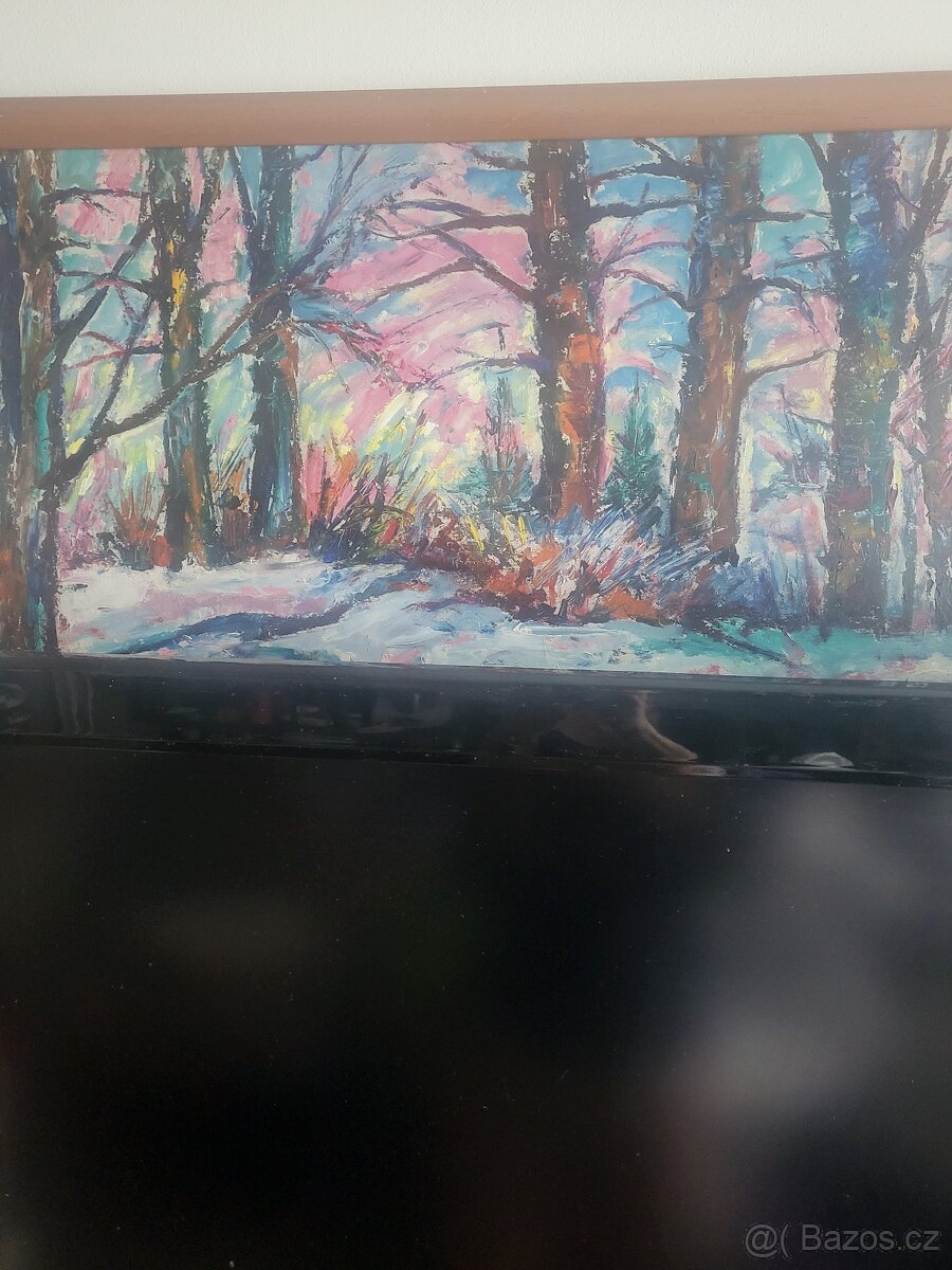 Obraz Vladimir Vácha