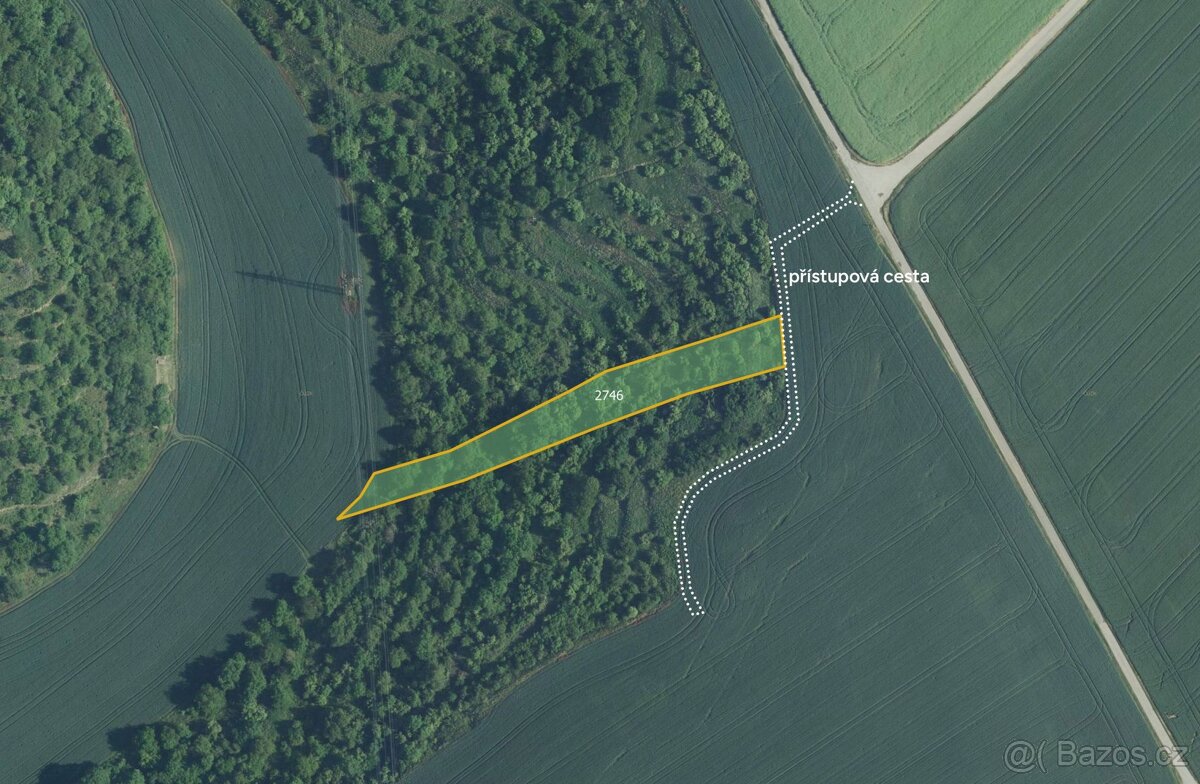 Sady, vinice, prodej, Uherčice, Břeclav