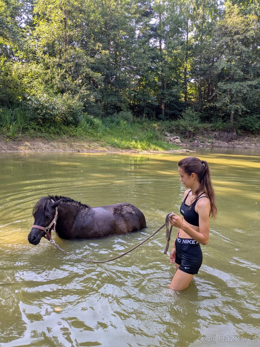 Docházka k poníkovi