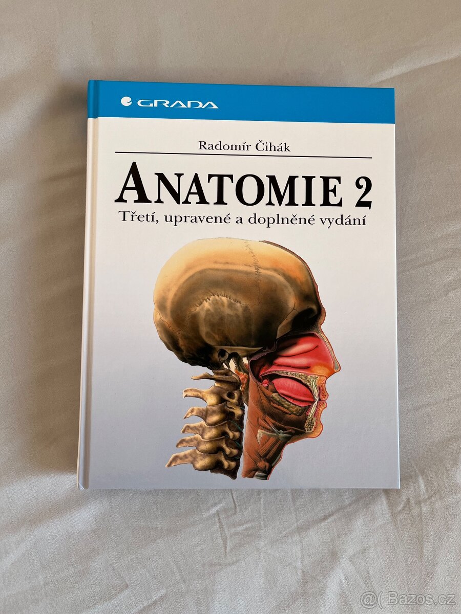Anatomie Čihák druhý díl