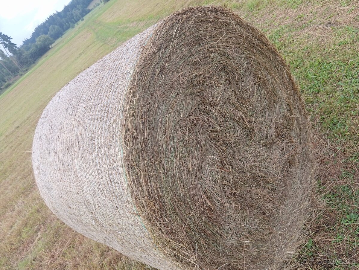 SENO BALÍKY