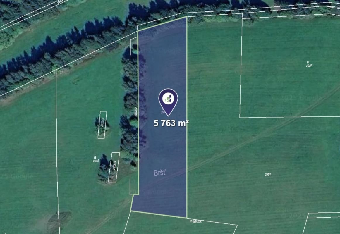 Prodej louky v k.ú. Domašov u Jeseníka