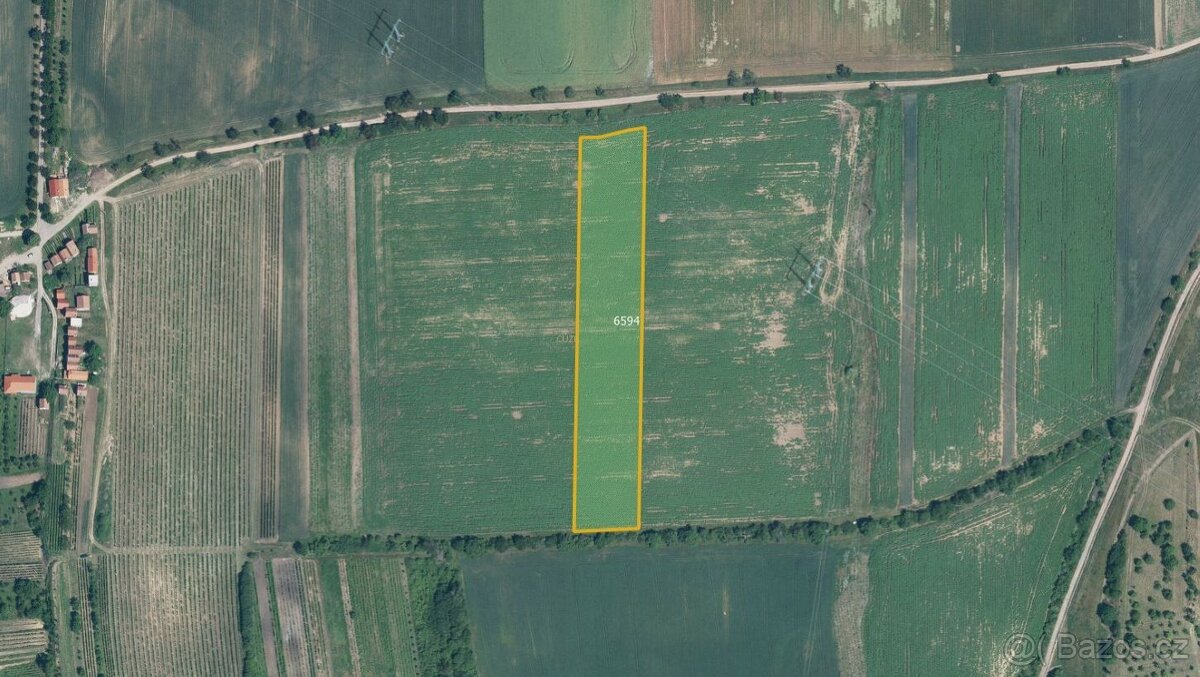Zemědělská půda, prodej, Milotice, Hodonín