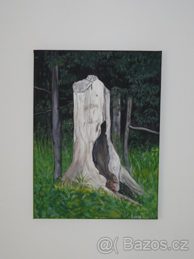 Obraz - Lesní pařez