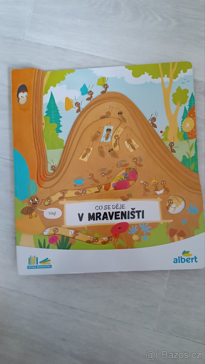 Co se děje v mraveništi