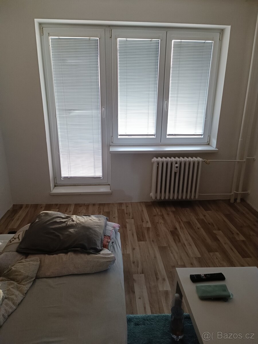 Byt 1+KK 30 m2, Studentská