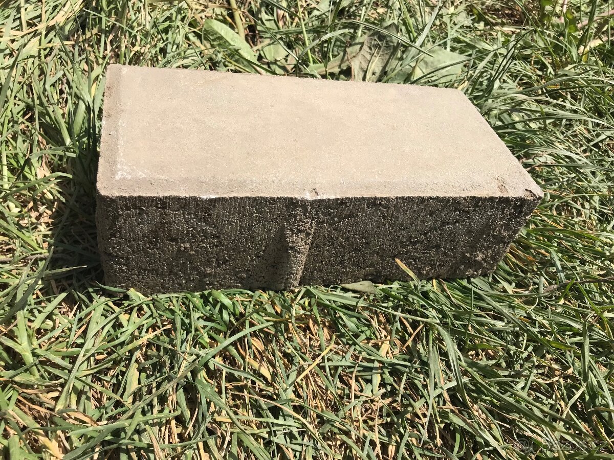 Zámková dlažba 10x20x6