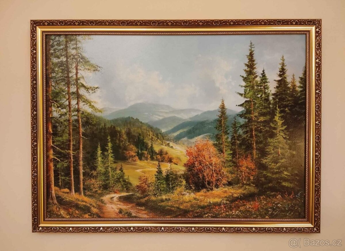 Obraz krajina