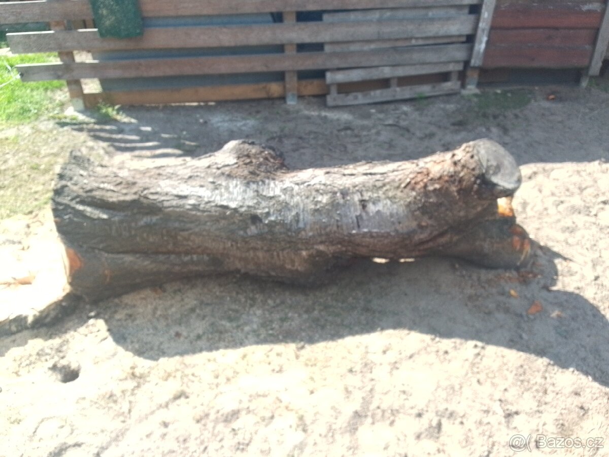 Prodám třešňové dřevo