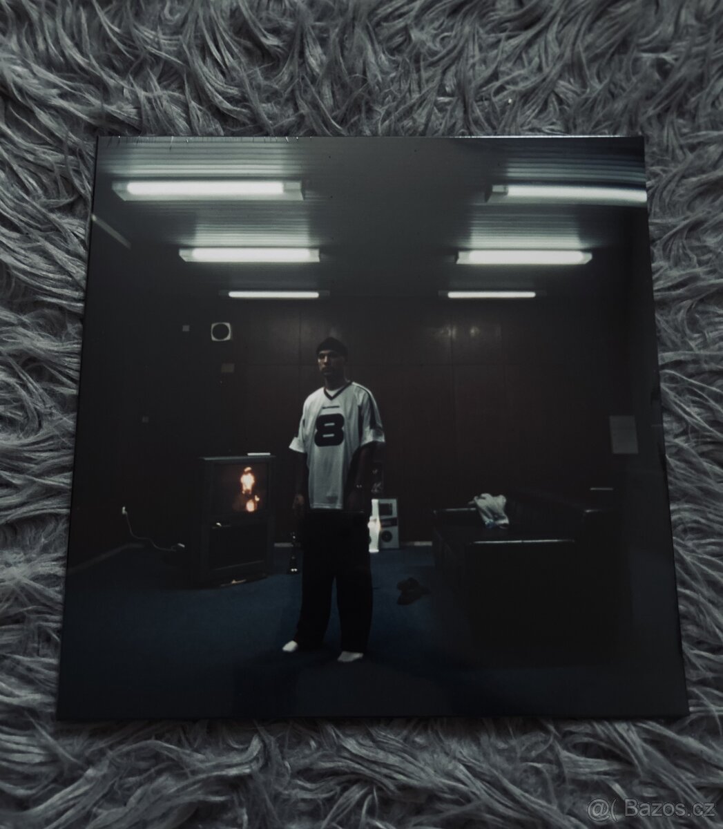 Viktor Sheen - vinyl