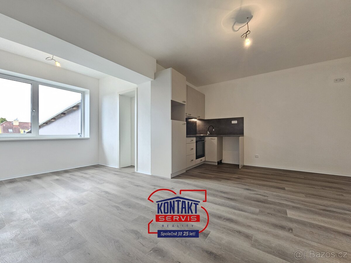 Pronájem nově rekonstruovaného bytu 3+kk, 53 m2 - České Budě