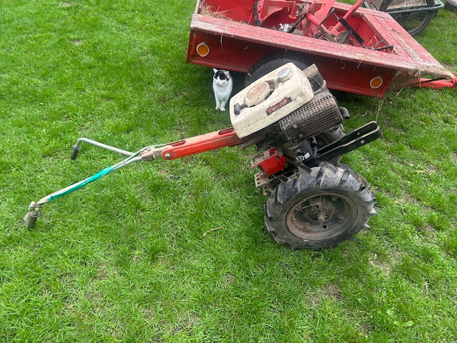 Tera Vari - spěchá