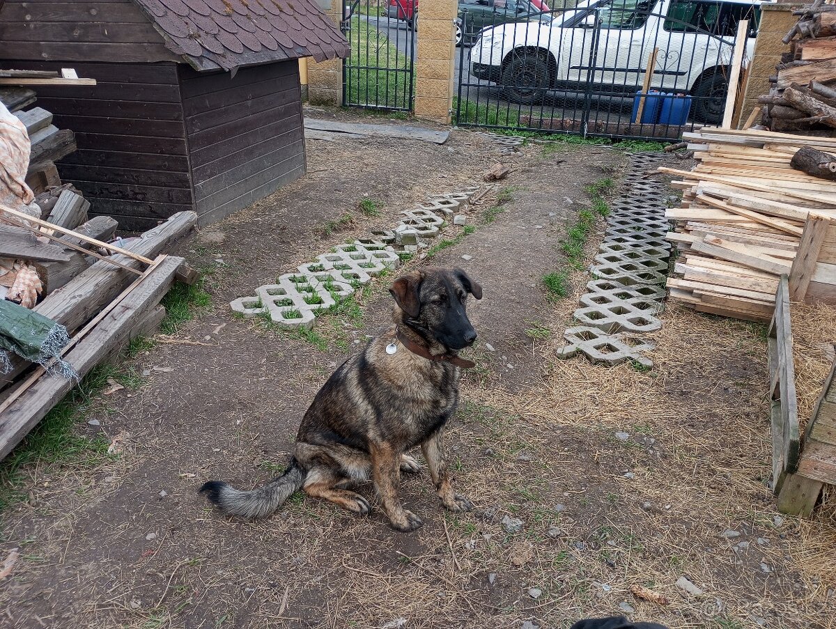 Fenka