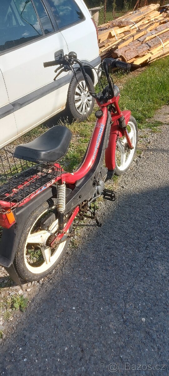 Manet korado babeta moped