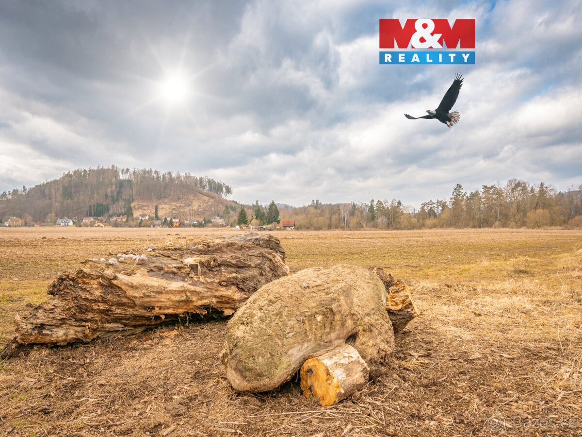 Prodej louky, 14575 m², Poříčí nad Sázavou