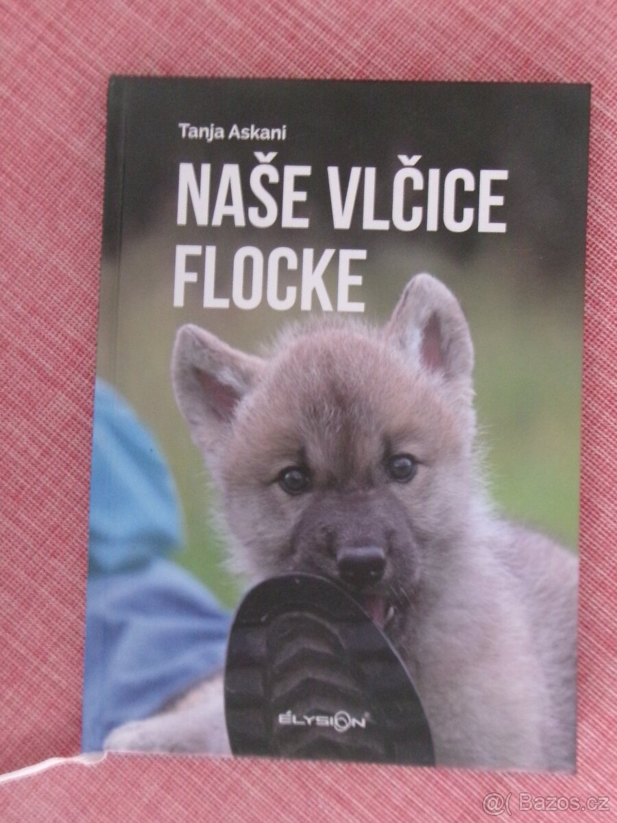 Naše vlčice Flocke,
