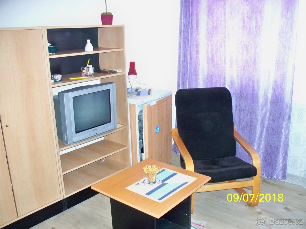 Pronajmu byt 1+kk v Teplicích