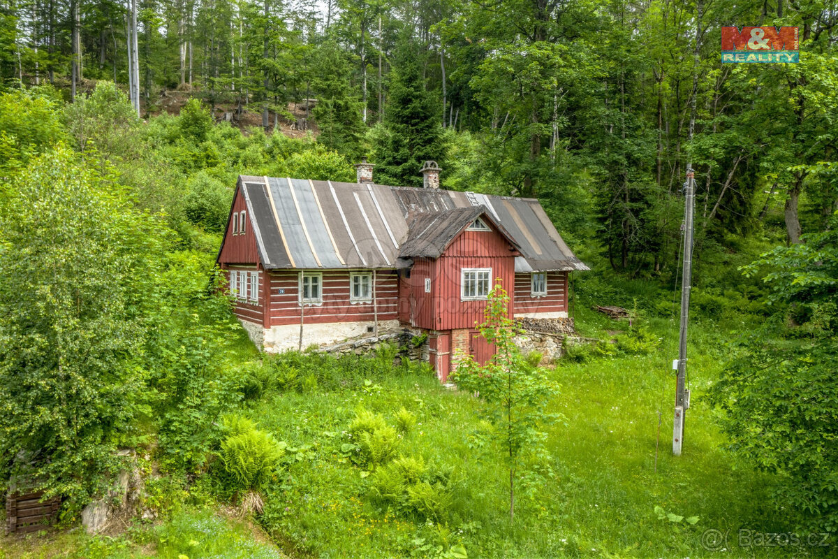 Prodej, chalupa, Paseky nad Jizerou, Havírna