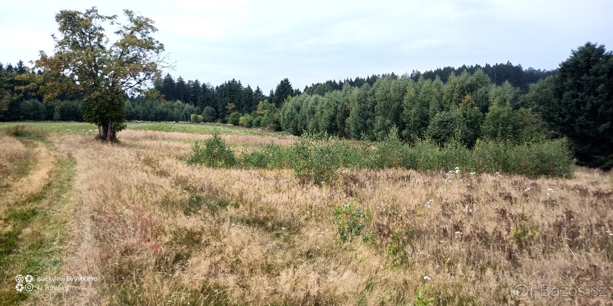 Prodej pozemku v k.ú. Mikuleč