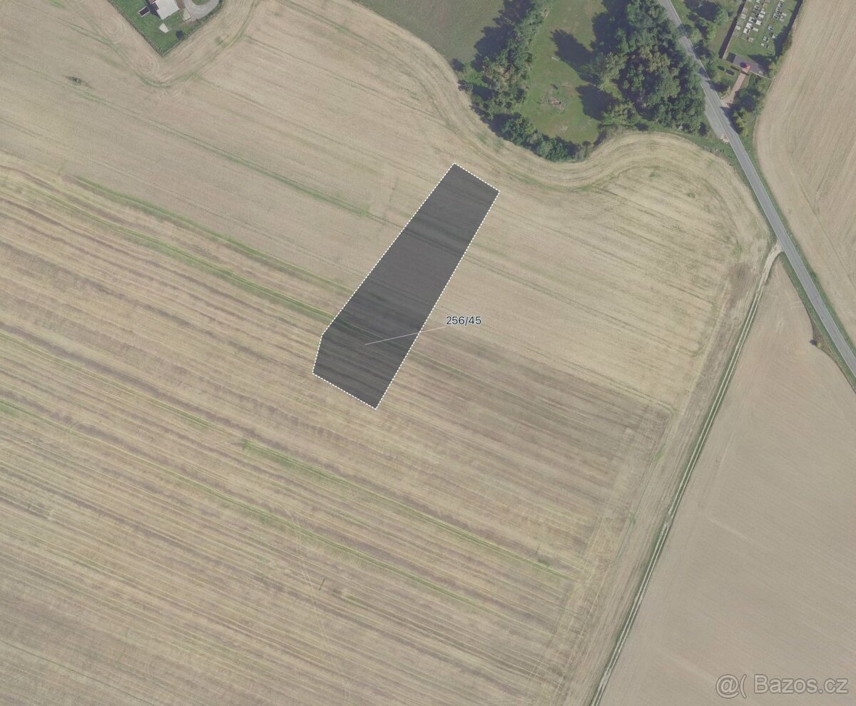 Zemědělská půda, prodej, Čilec, Nymburk