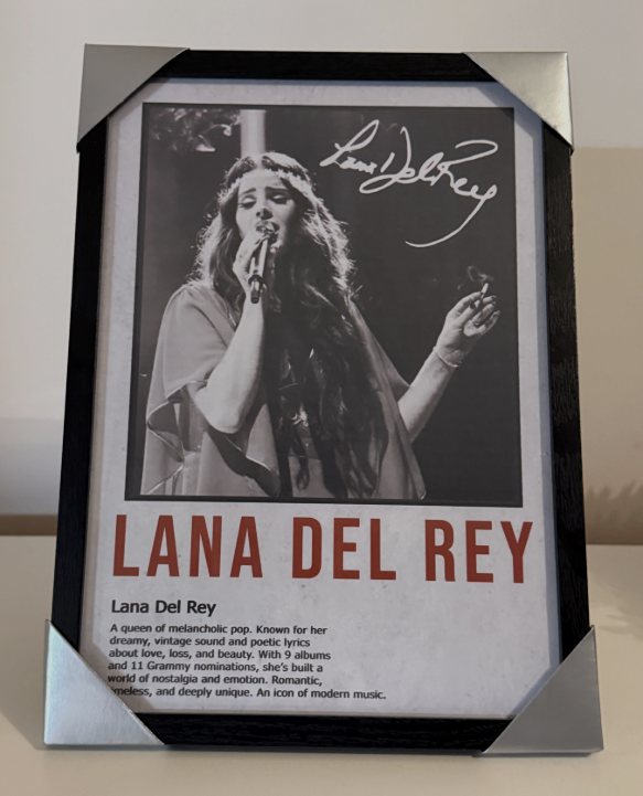 Obraz - Lana Del Rey - Vánoční AKCE🎄