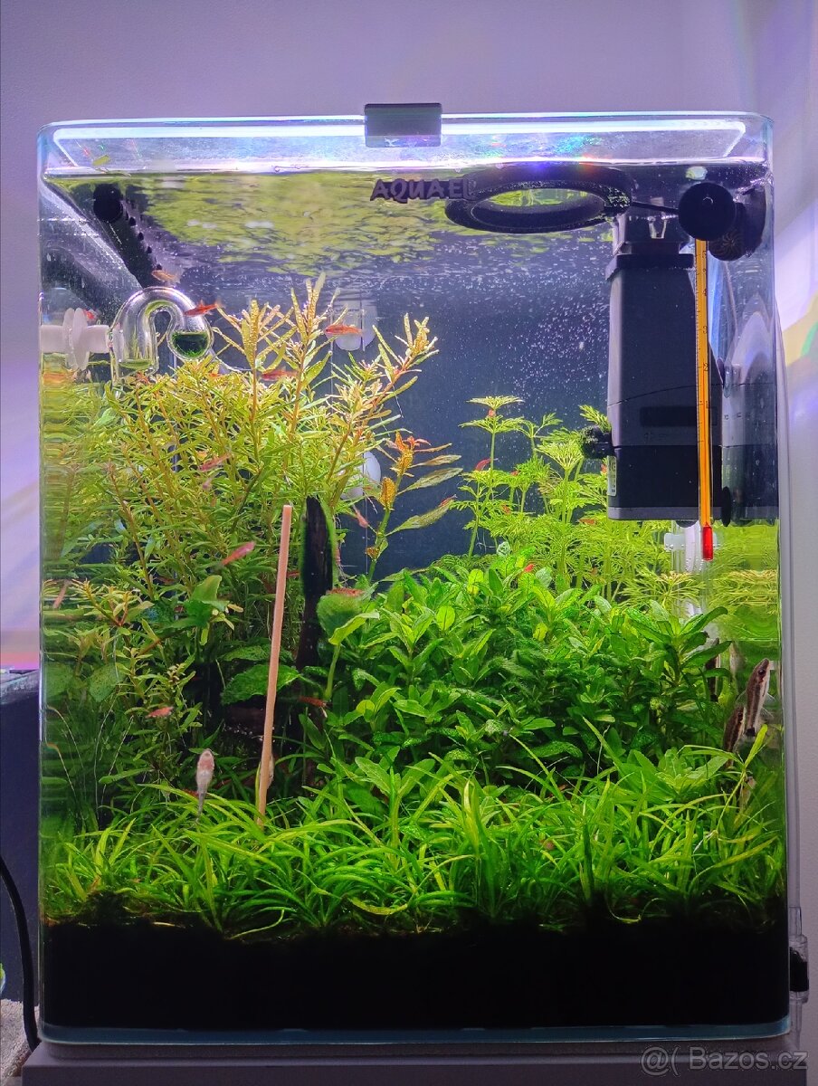 Nano akvárium Optiwhite