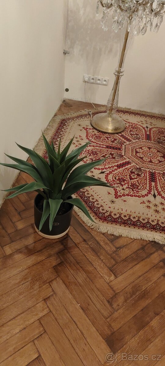 Hezkou garsoniéru pronajmu v Železném Brodě.