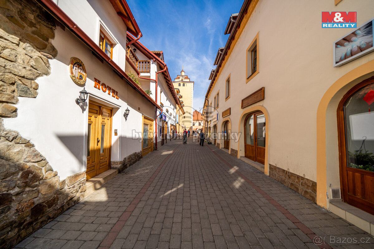 Pronájem bytu 1+kk, 35 m², Beroun, ul. Palackého