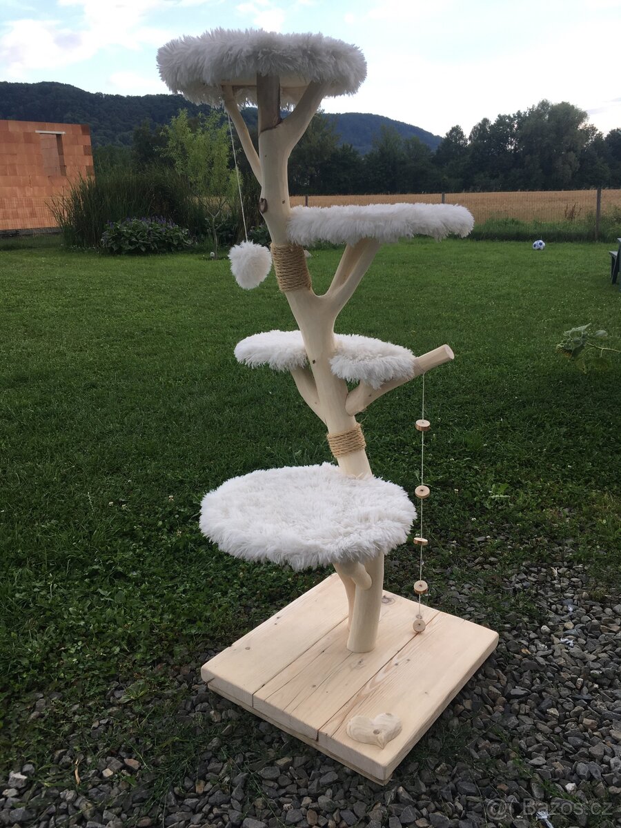 kočičí strom