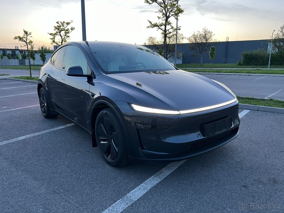 Tesla Model Y Long Range All-Wheel Drive/ DPH