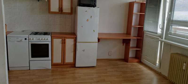 Pronájem, byt 1+1, 33 m, Růžová 3090/21, Most, Česko
