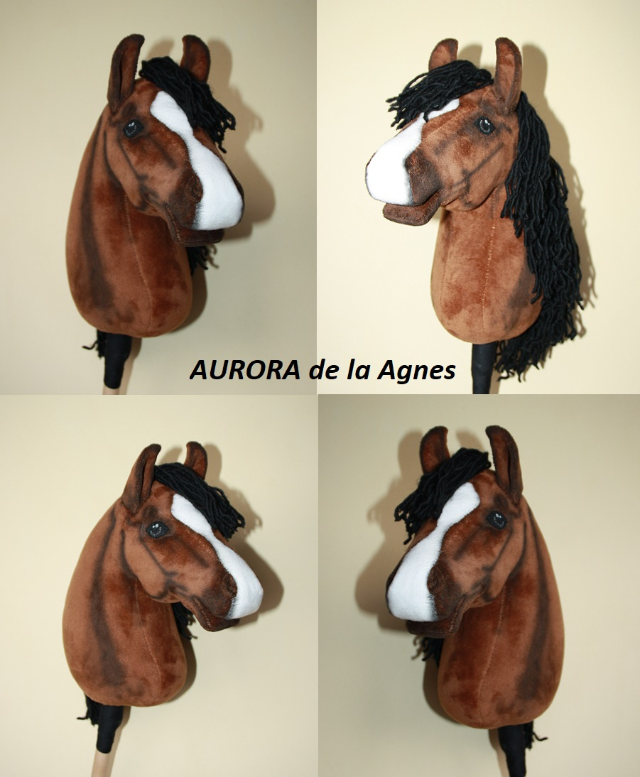 Hobby horse