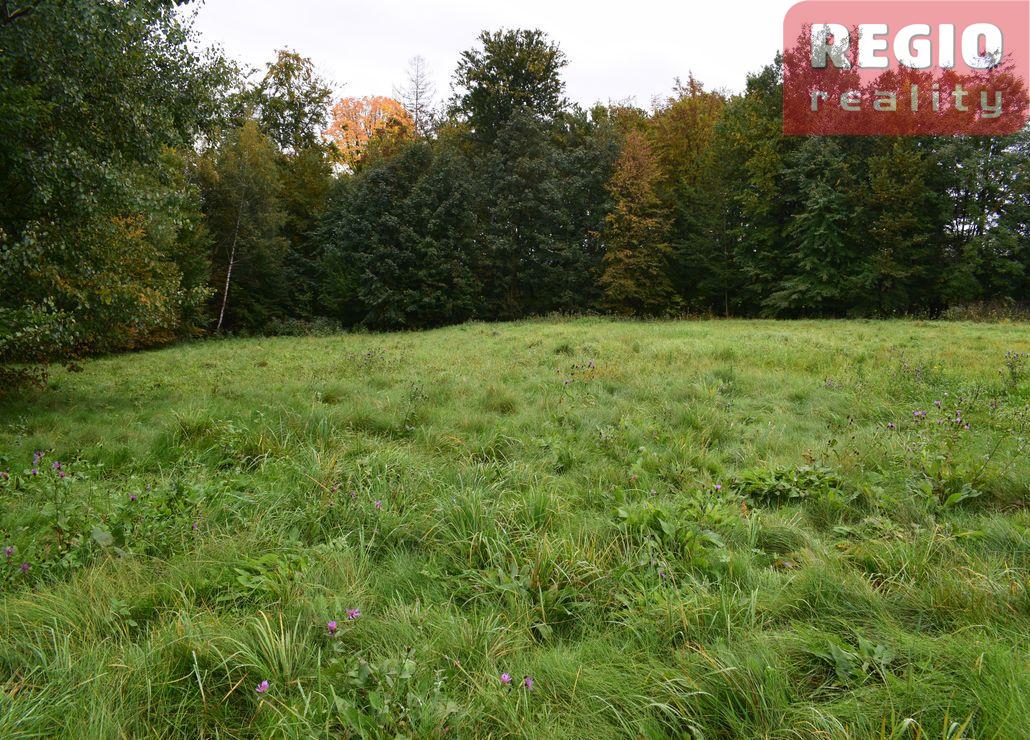 Prodej stavebního pozemku s lesem 3332m2 na Karpentné