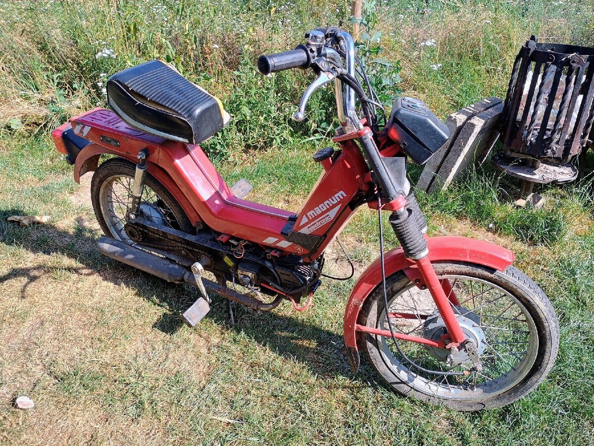 Babetta Magnum