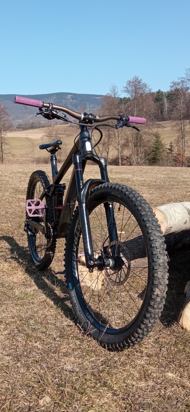 Trek remedy 8