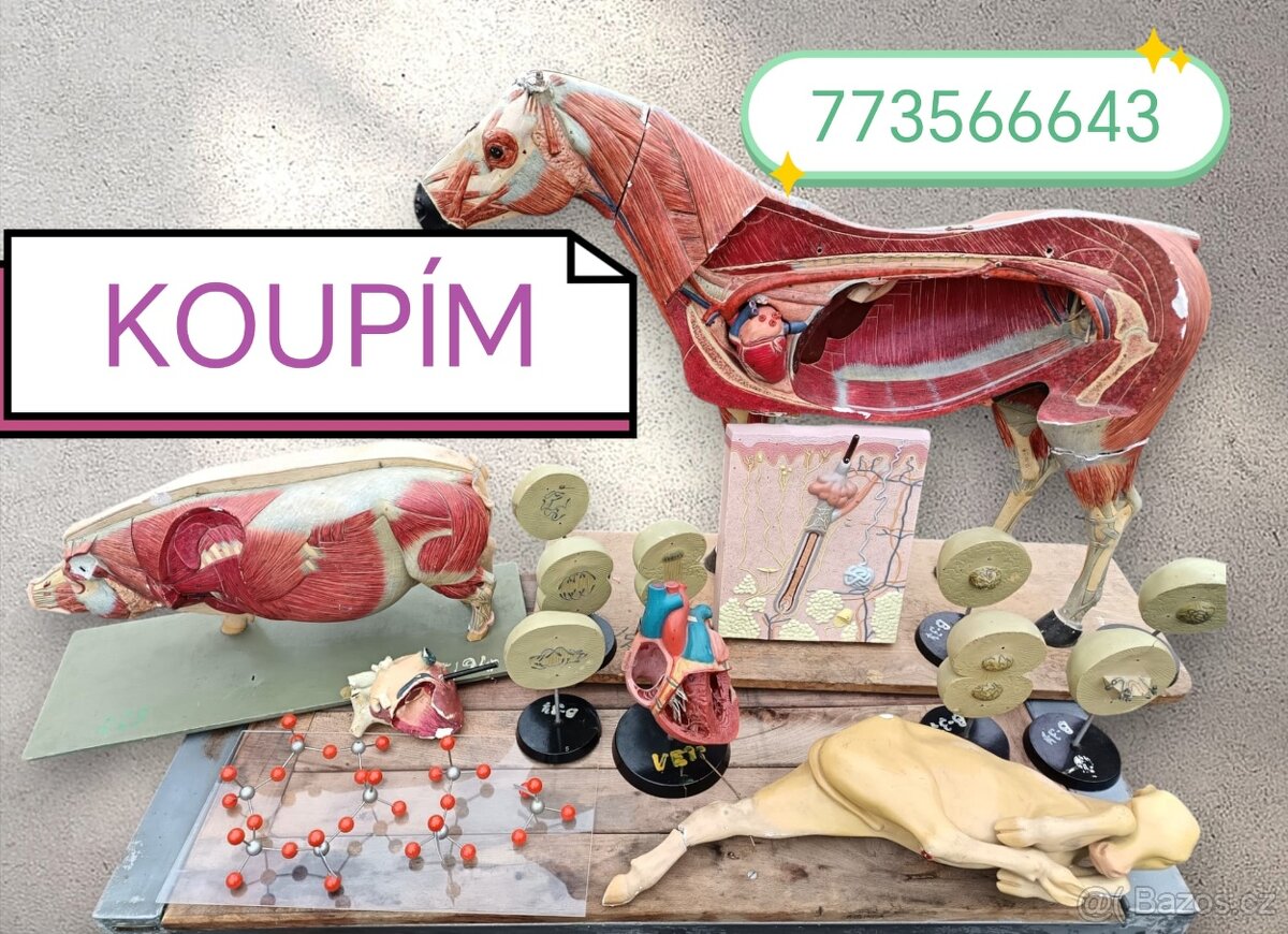 Staré školní pomůcky