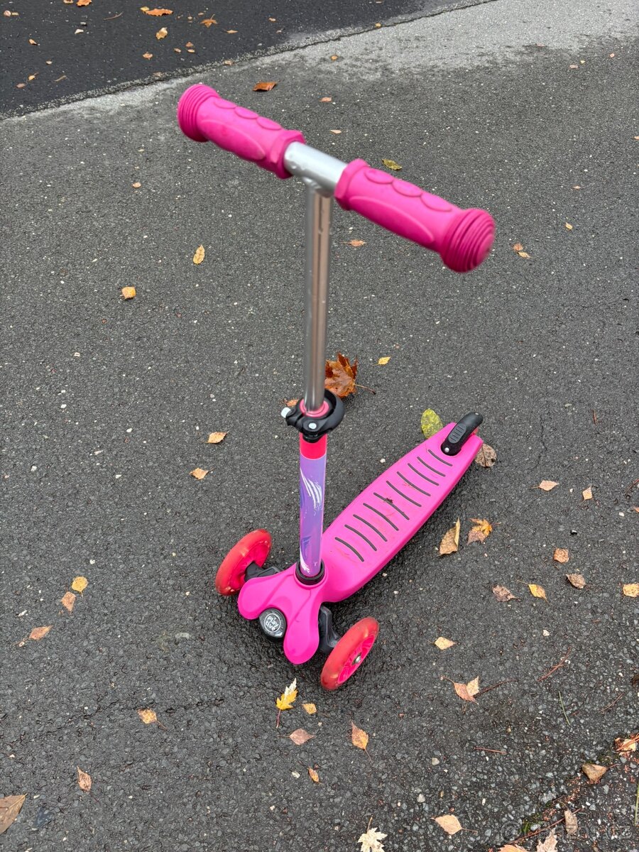 2x koloběžka hočičí